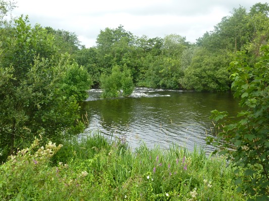 Limerick - Shannon River